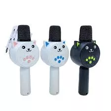 MICRO  KARAOKE  BEST SOUND  MC881