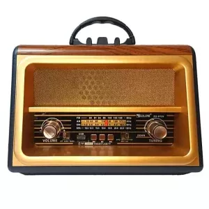 RADIO  GOLON  RX  BT 89SQ
